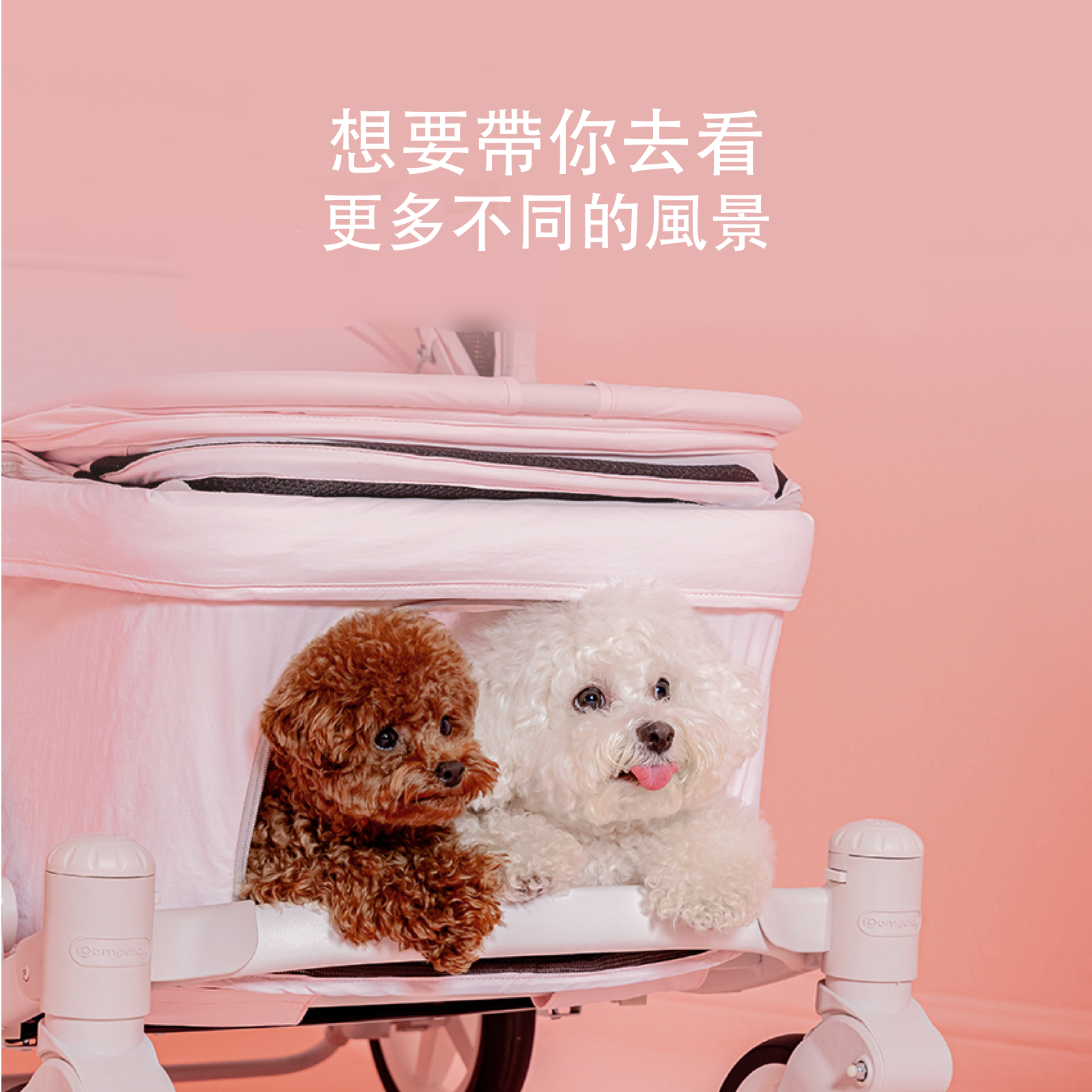 ［Wholesale］韓國 POMPOLARR PET 低重心雙開敞篷寵物推車｜一秒自動收車｜珍珠灰 - 高品質 - 特價 $TWD 25800｜LOVE PET FAMILY