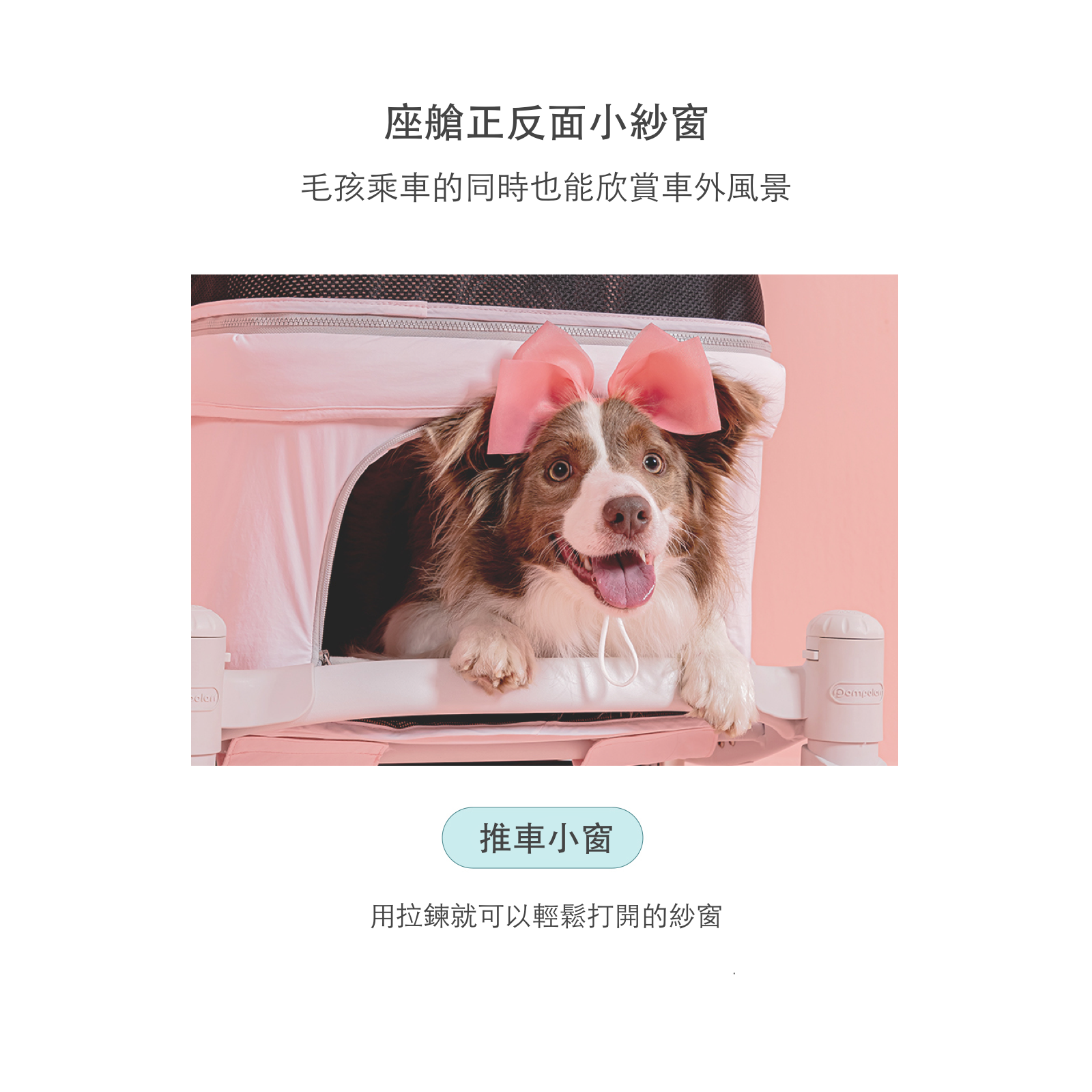 ［Wholesale］韓國 POMPOLARR PET 低重心雙開敞篷寵物推車｜一秒自動收車｜冰川藍 - 高品質寵物推車 - 特價 $TWD 18800｜LOVE PET FAMILY