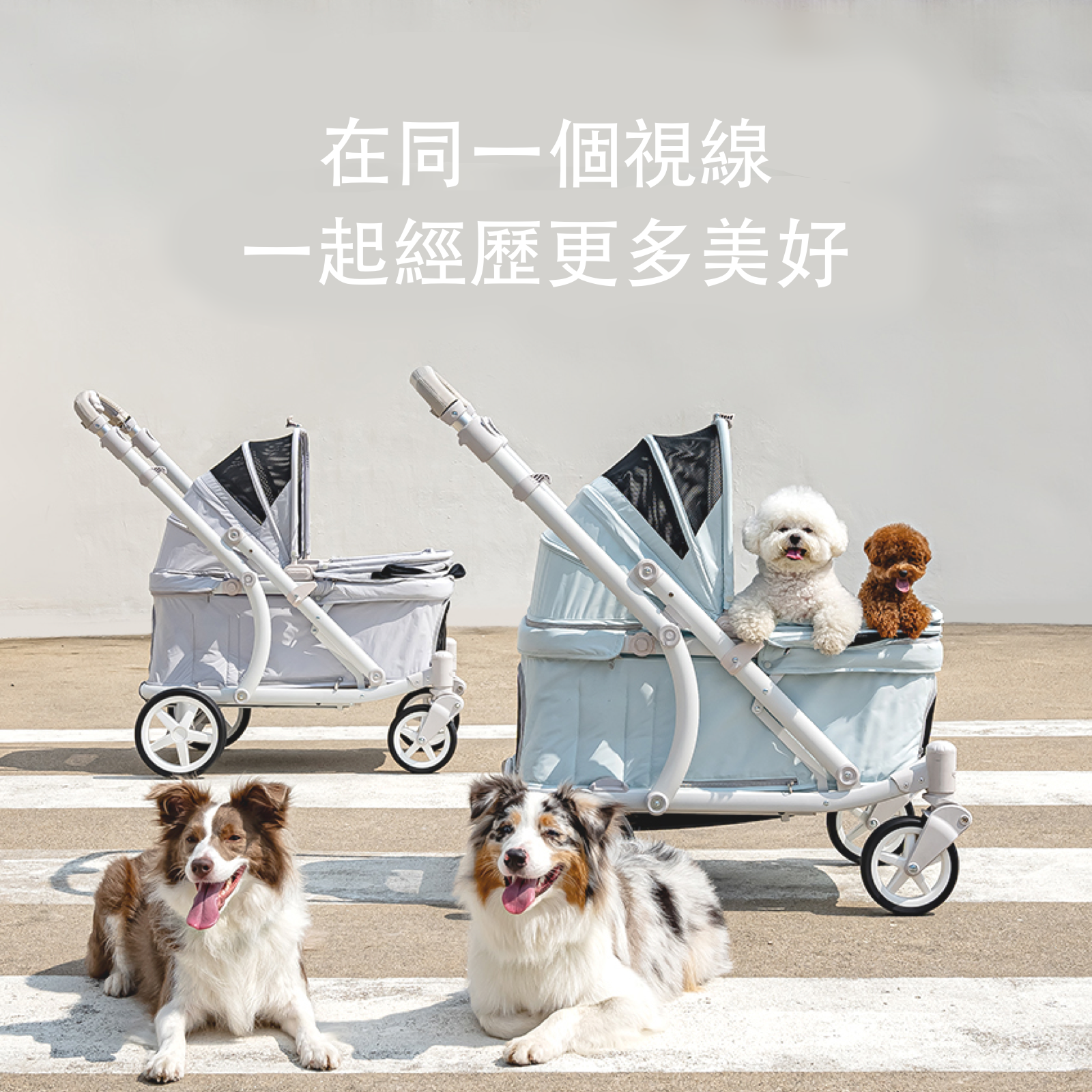 ［Wholesale］韓國 POMPOLARR PET 低重心雙開敞篷寵物推車｜一秒自動收車｜冰川藍 - 高品質 - 特價 $TWD 25800｜LOVE PET FAMILY