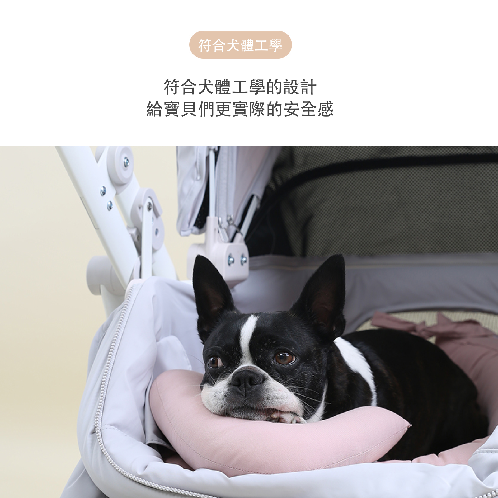 ［Wholesale］韓國 POMPOLARR PET 寵物推車配件推車座艙墊＋枕頭套組 - 高品質 - 特價 $TWD 1980｜LOVE PET FAMILY