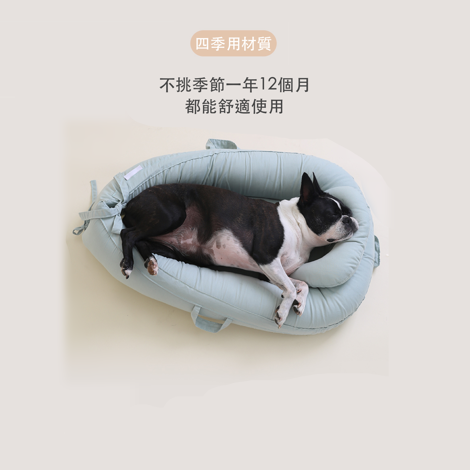 ［Wholesale］韓國 POMPOLARR PET 寵物推車配件推車座艙墊＋枕頭套組 - 高品質 - 特價 $TWD 1980｜LOVE PET FAMILY