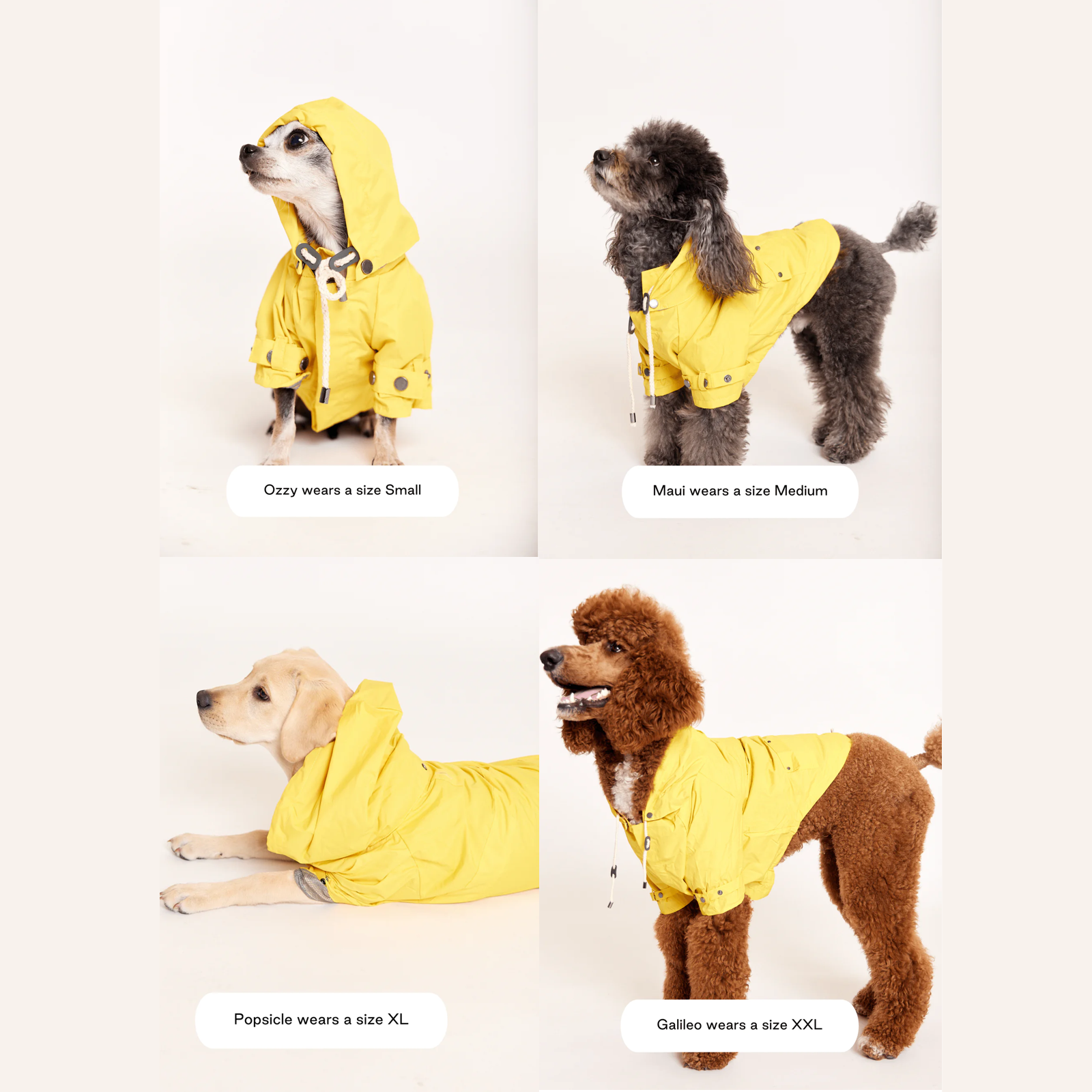 American maxbone lightweight functional hooded dog raincoat Talon Riancoat 