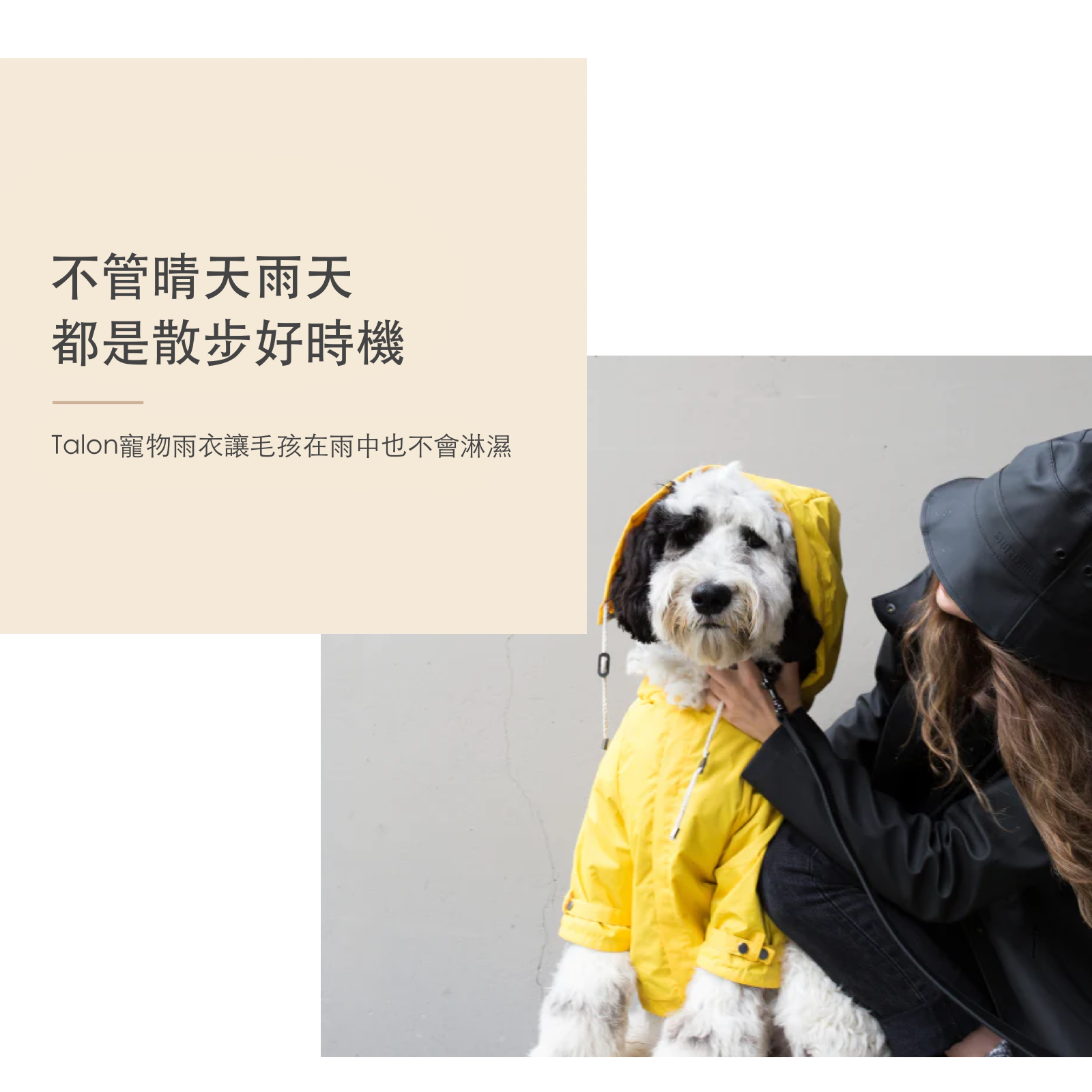 American maxbone lightweight functional hooded dog raincoat Talon Riancoat 